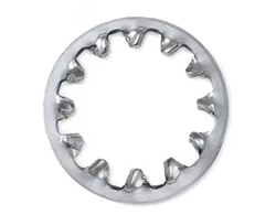 Hastelloy Lock Washer